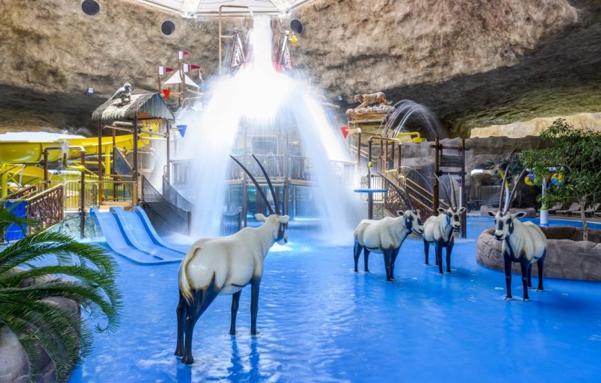 Meryal Water Park Access