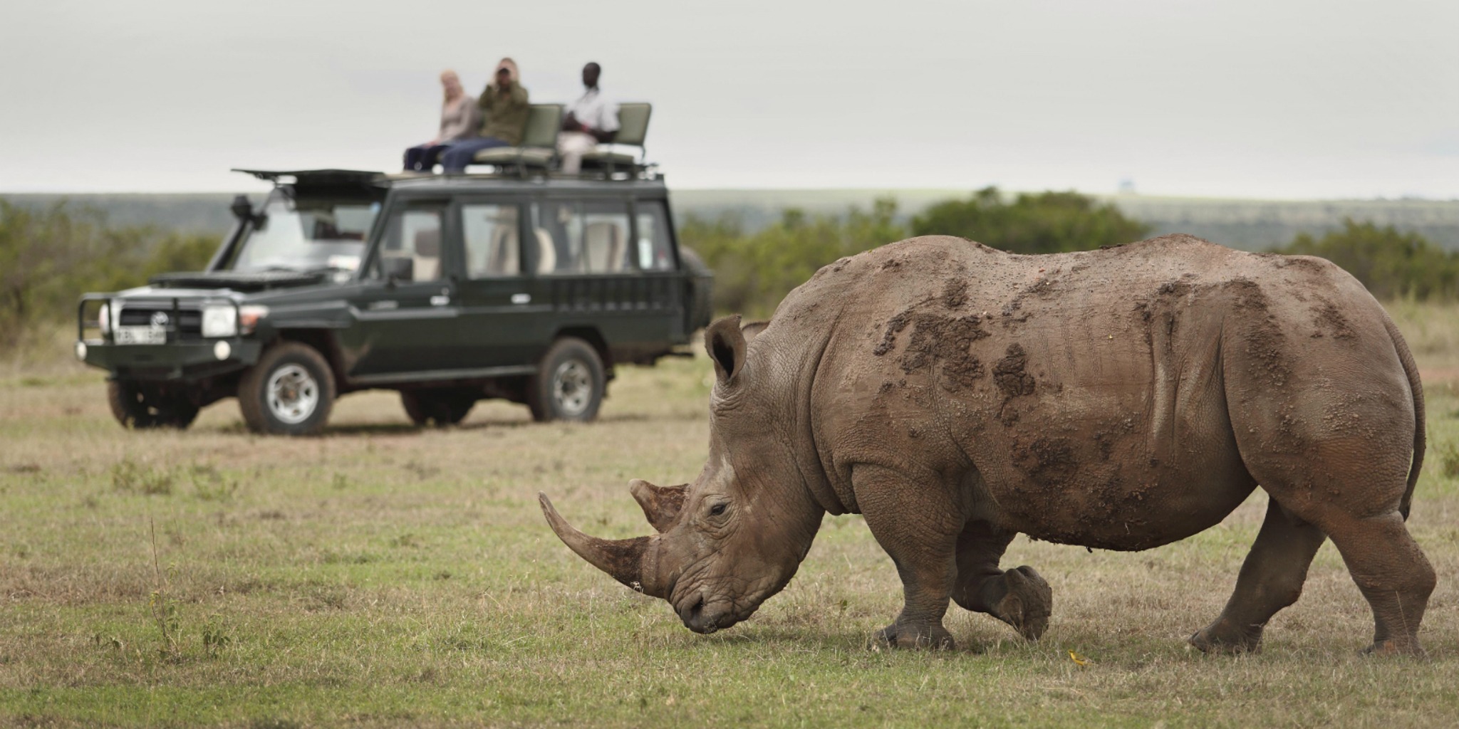 7 DAYS 6 NIGHTS KENYA SAFARI