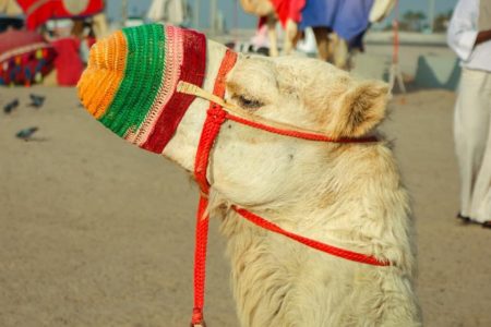 Dubai Getaway – 4 Days / 3 Nights